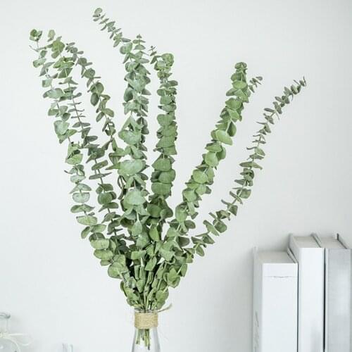 10PCS/SET Natural Eucalyptus For Leaves Dried Flower Decorations DIY Home Wedding Shooting Party Decor Supplies