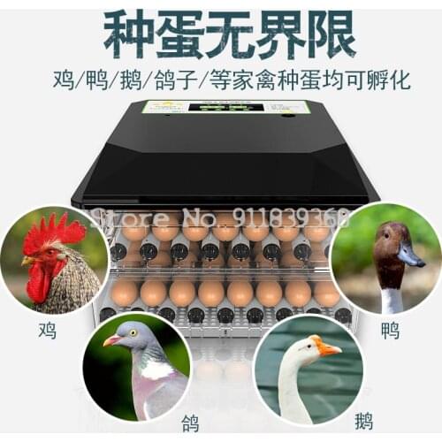 Incubator Home Incubator Intelligent Incubator Automatic Heat Preservation Mini Machine Roller Chicken Duck Goose Incubator