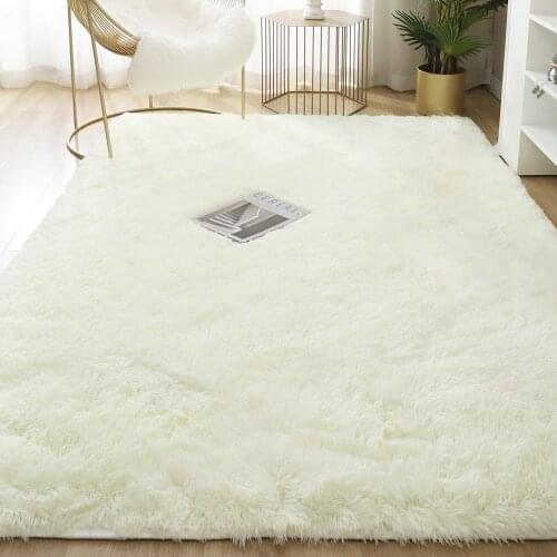 Carpet for Living Room Fluffy Bed Room Rug Home Decor Window Bedside Carpets Thick Rugs Soft Velvet Mat High Quality