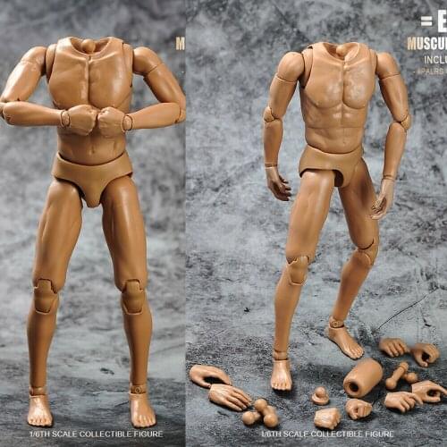 1/6th Scale TQ220 Wide Shoulder Muscle Male Figure Body Flexible Doll Toys in stock