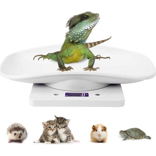 Digital Pet Scale LCD Electronic Weighing Scale Kitchen Food Scale Mini Precision Grams Weight Balance Scale