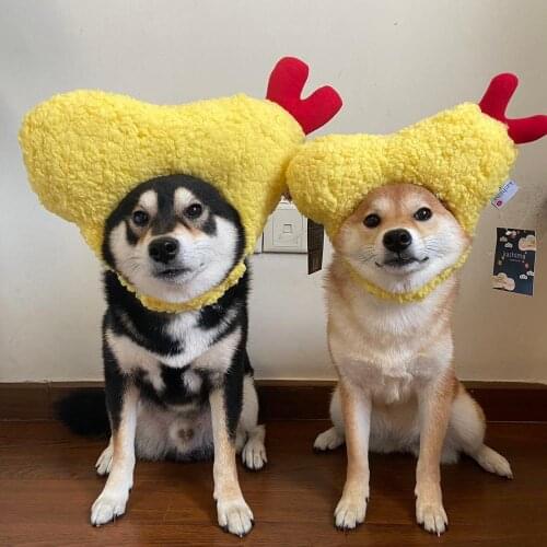 OLOEY Hats For Dogs
