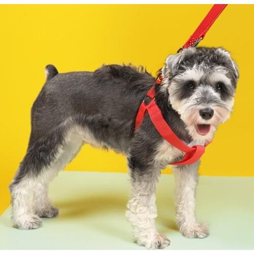 Dog Chest Back Tow Rope Two-Piece Set Durable Dog Harness And Leash Set Breathable Adjustable Soft