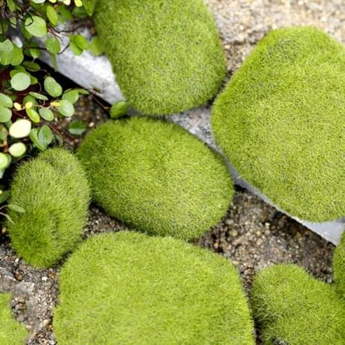 Miniature Moss Stone Artificial Moss Lawn Micro Landscape Ornament Garden Diy Decoration