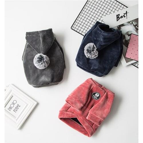 Dog Clothes Spring And Summer New Ball Sweater Gold Velvet Thin Section Comfortable Soft Two-legged Clothes Cat Teddy Pet Cloth