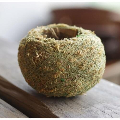 Moss Design Flowerpot Succulent Plant Container Home Garden Cafe Decoration