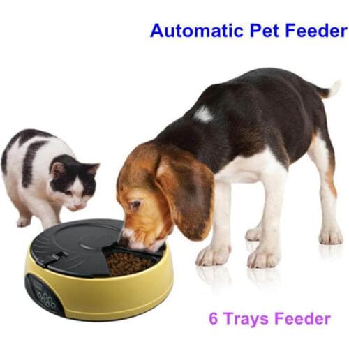 Ortilerri 6 Meal Smart Automatic Pet Feeder LCD Display Dog Cat Food Dispenser Timed Recorder Bowl Food Reminder Cat Feeder