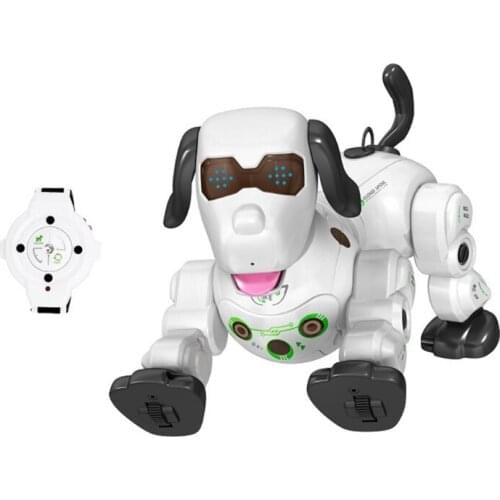 FBIL-Remote Control Robot Dog Infrared Tracking Spray Wireless Electric Smart RC Puppy with Press Sensor Interactive Toy