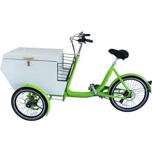 Front Loading Cargo Bike Bicycle for Kids Electric Bicycles Pedal Adult Tricycle Shopping Cart Trolleys with Metal Box