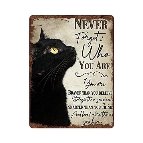 Never Forget Who You are Retro Tin Sign Animal Art Cat Lover Gift Cute Cat Wall Art Home Decor Fun Tin Sign for Man Cave Bar Pub