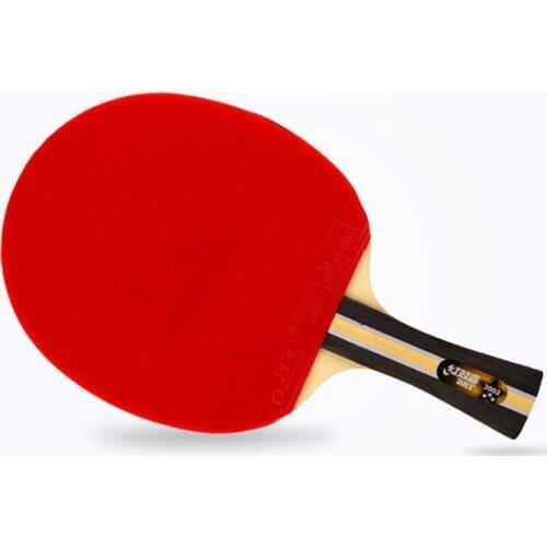 DHS Original 3-Star Table Tennis Racket (3002, 3006) with Rubber (PF4-1, Pips-in) Ping Pong Bat
