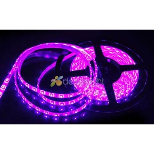 DC12V 5M/Lot 3528 SMD 60Led/m 300 Leds Epoxy Resin IP65 Waterproof Flexible LED Strip Light Pink color Free Shipping