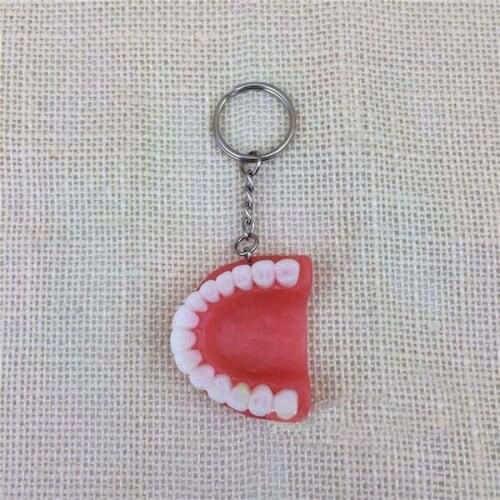 4PCS Teeth Model Keychain for Dentist Mobile Chain Dental Gift