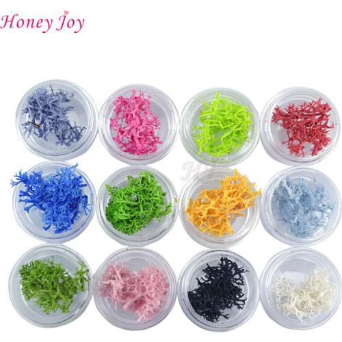 12colors/box Natural 3D Real Seaweed Dry Flowers Nail Art Decoration UV Gel Polish Decals Pink Blue Green Grey Black White Red