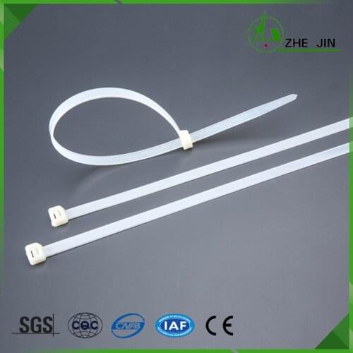 ZHEJIN (250pcs) ZJ-4*250MM (10.0"X27lbs) Nylon Plastic Zip Wrap Cable Loop Ties Wire(width:2.8mm)