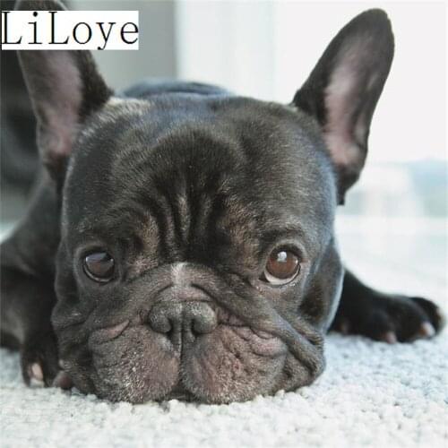 DIY Diamond Painting Cross Stitch Mosaic Full Rhinestones 5D Icon Diamond Embroidery black Dog Home Decor Painting Pattern FZ598