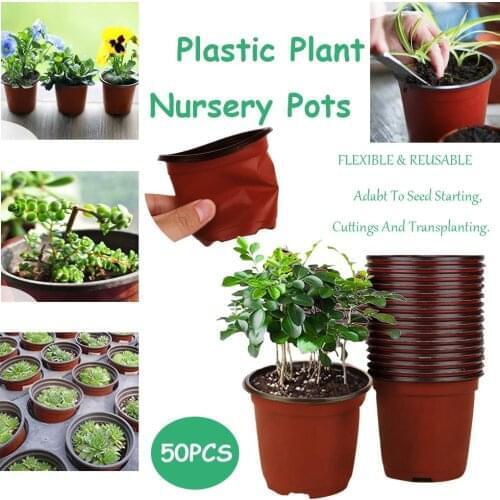 50PC Seed Starting Pot Flower Plant Container for Succulents Seedlings Plastic growing Pots Home Garden flowerpot