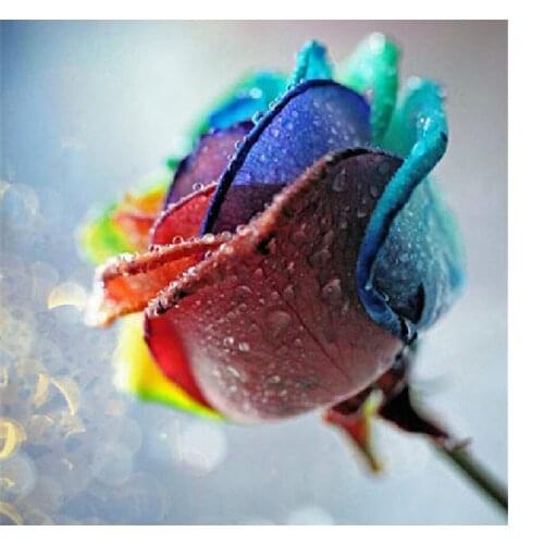 5D diamond painting rose flower diamond embroidery cross stitch color rose complete mosaic DIY art design home decoration gift