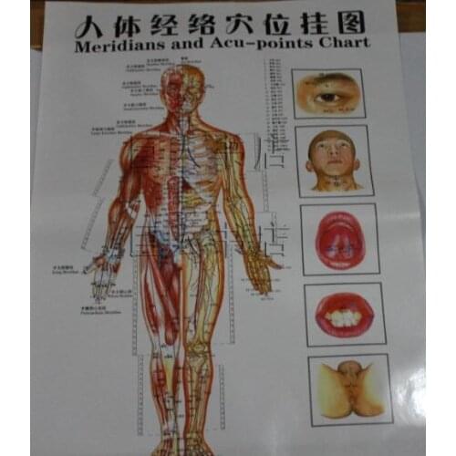 10 pcs Meridians and acupoint chart ear/hand/foot reflective zone acupuncture body massage therapy use