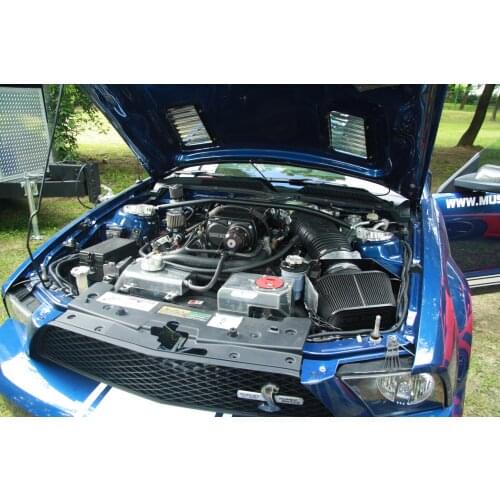 Hood Damper for Shelby GT500 Super Snake 2013-2014 Gas Strut Lift Support Front Bonnet Modify Gas Springs Shock Absorber