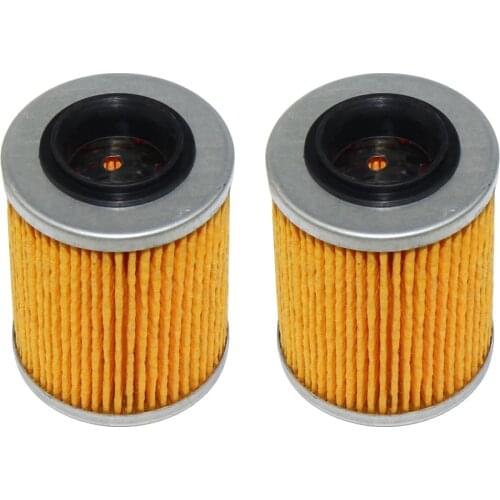 2Pcs ENGINE OIL FILTER Atv Accessories For CF800 Repair- Parts 0800-011300