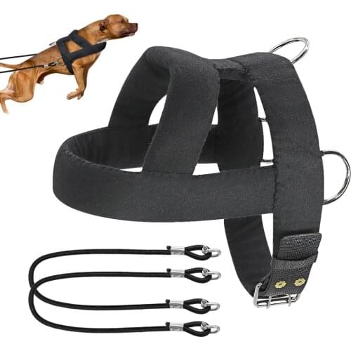 Dog Sled Harness Winter Dog Weight Pulling Harness Sledding for Medium Large Dog Strength Weighting Training Strap Skijoring