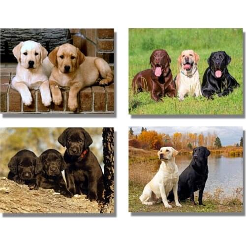 Round Full Diamond Embroidery "labrador Dog" Patterns Diy 5d Diamond Painting Cross Stitch Rhinestones Mosaic Home Decoration