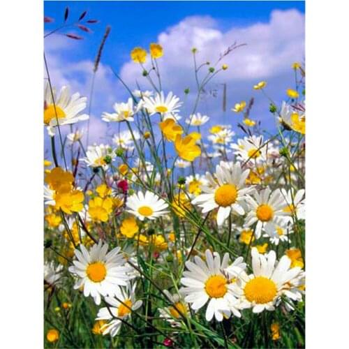 Flower DIY 11CT Cross Stitch Embroidery Kits Craft Needlework Set Cotton Thread Printed Canvas Home Decoration New Design Sell