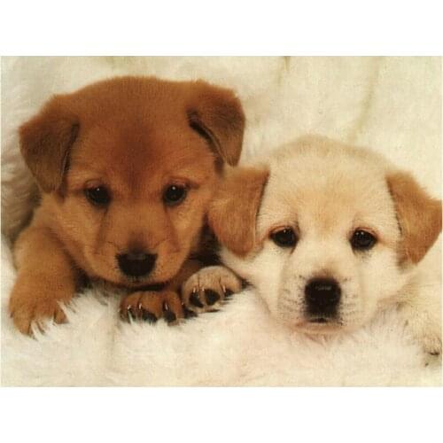 Diy diamond embroidery mosaic dog arts picture rhinestone pasted full square 5d diamond painting cross stitch puppy Home Decor