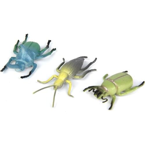 Realistic Plastic Insect Animals 12 Pieces Beetle Model Toy Fake Birds Garden Props Joke Prank Gifts