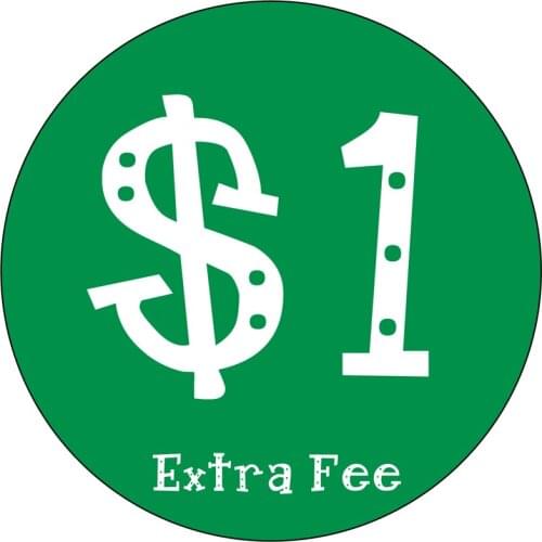 Extra Fee 1 Additional Usd Pay Extra Cost for Goods or for Fast Shipping Pay Link to Our Vip Client