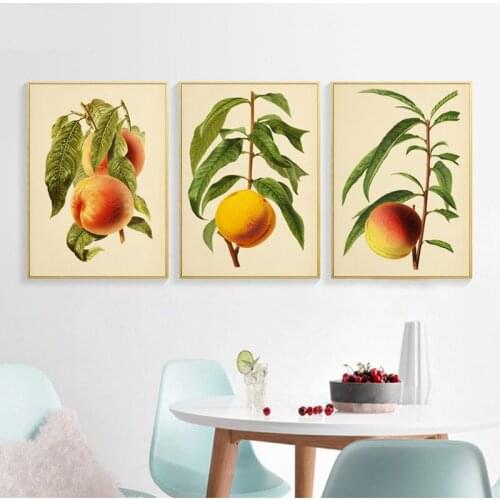 Flowers Painting Wall Art Fruits Peach Pear Modern Home Dining Room Kitchen Decor Pictures Vintage Posters Kraft paper