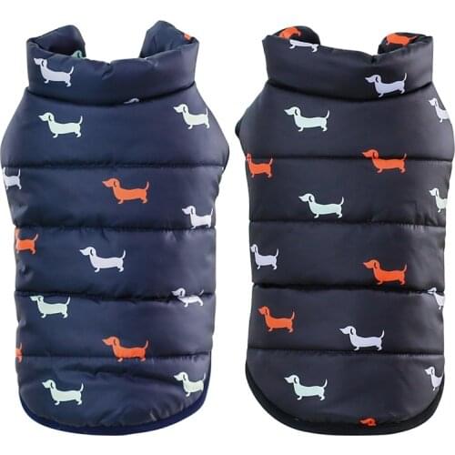 Autumn Winter Cloth Dog Clothes Cool Pet Dog Warm Cloth Dog Jacket Coats with Fur Collar Small Medium Dogs Puppy Jacket