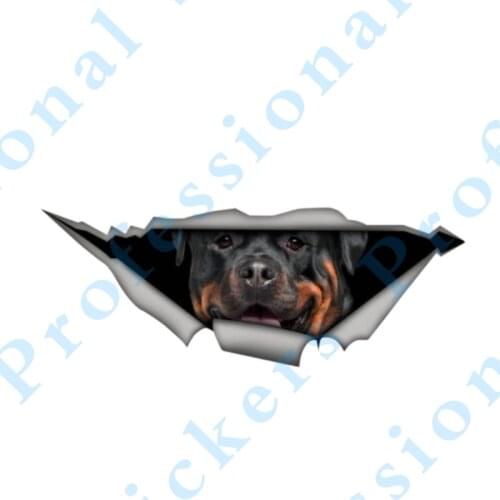 3D Animal 13 x 4.8 Brown cocker spaniel Sticker Torn Metal Vinyl Decal Lovely Car Sticker Motorcycle Trunk Animal 3D Car Styling