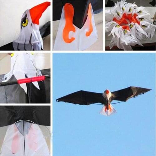 Free shipping eagle kite with handle line kite surf for adults kids flying windsock soft kite power kite power kite