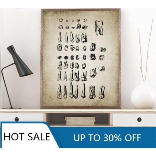 Vintage Human Teeth Medical Dental Clinic Wall Art Canvas Painting Posters Prints Wall Decor Human Dental Anatomy Educational