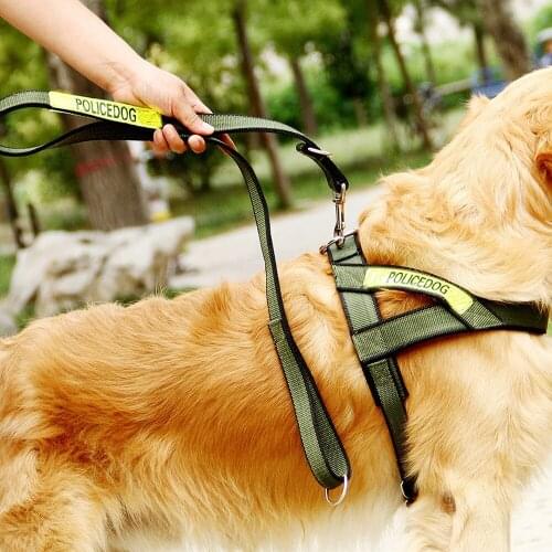 Dog collars and harnesses pets acessorios