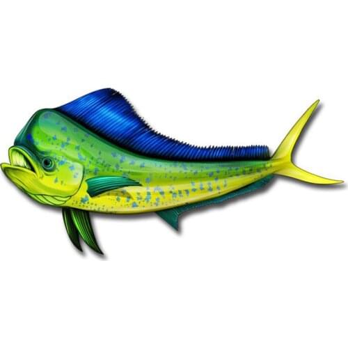 SZWL Funny Car Stickers Coryphaena Hippurus Decal Waterproof Vinyl Graphic for Laptop Door Window Bumper Decor,13cm*6cm