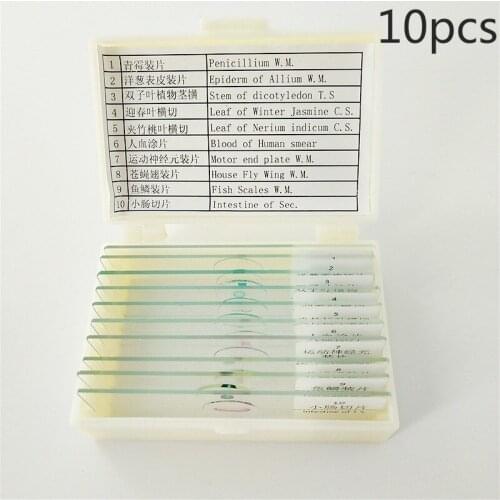 10 pcs biological section set source popular specimen section microscope specimen slice set optical glass Sanding edge