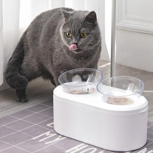 Cat Dog Bowls with Raised Stand Elevated Pet Food Water Bowls 15 Degree Tilt Pet Bowl Stress-Free Suit for Cats Small Dogs