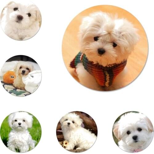 My Maltese Dog Icons Pins Badge Decoration Brooches Metal Badges For Clothes Backpack Decoration 58mm