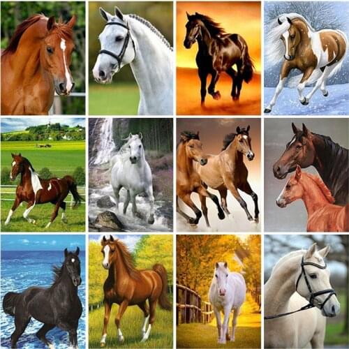 DIY Horse 5D Diamond Painting Full Square Drill Animal Diamond Embroidery Cross Stitch Mosaic Wall Art Rhinestones Home Decor