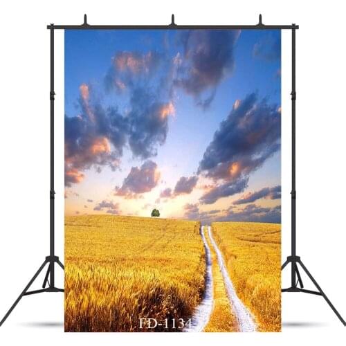 Field Sunset Photography Backdrop for Photo Shoot Props Vinyl Cloth Printed Photo Background Children kids Baby Shower Photocall