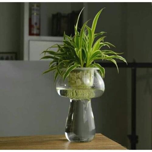 1PC New Creative transparent glass mushroom garden vase Vase Decoration culture Home Furnishing hot selling JY 1195