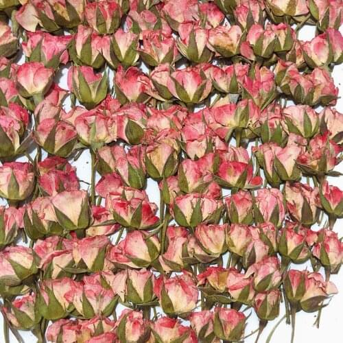 60pcs Pressed Dried Side Rose Flower Herbarium For Epoxy Resin Jewelry Making Bookmark Face Makeup Phone Case Nail Art Craft Diy