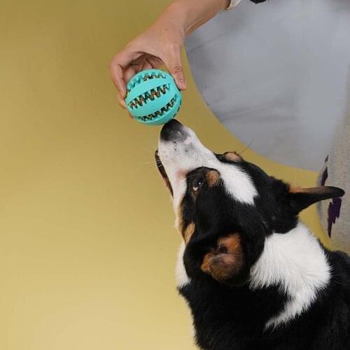 Pets Dogs Toy Accessories Harness Dog Cat Puppy Funny Interactive Elasticity Tooth Cleaning Chew Toys Rubber Ball Of Food