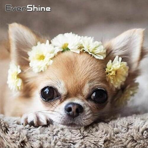 Evershine Diamond Painting Animals Cross Stitch Full Drill Display Diamond Embroidery Dog Cute Rhinestone Pictures Wall Stickers