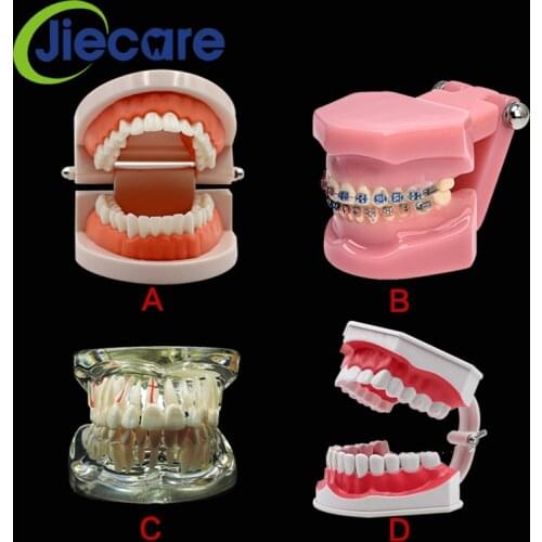 1 PC High Quality Dental Standard Teeth Model Oral Care Tooth Cleaning for Dental Teaching&Practice Simulation Free Shipping