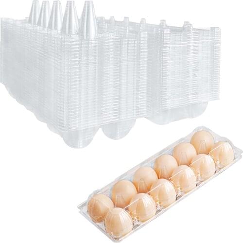 TETOU Egg Fixtures