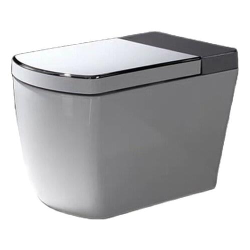 VOGO - SL600 multi-functional automatic cleaning toilets no tank one-piece was mailed package